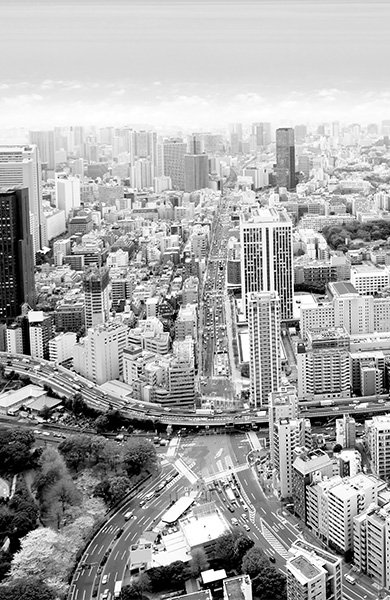 Consolidação de Propriedade